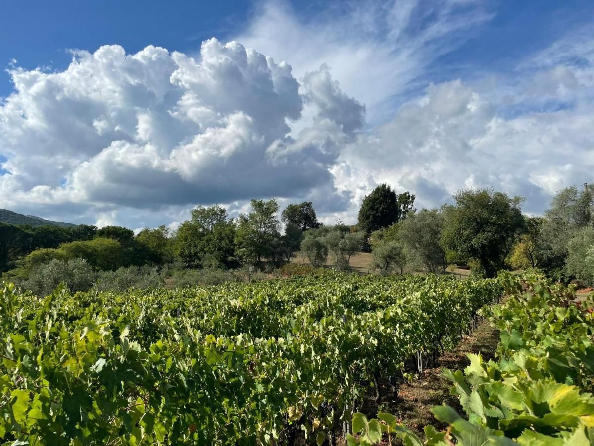 Villa All'Ombra Del Tiglio à Pistoia Extérieur photo